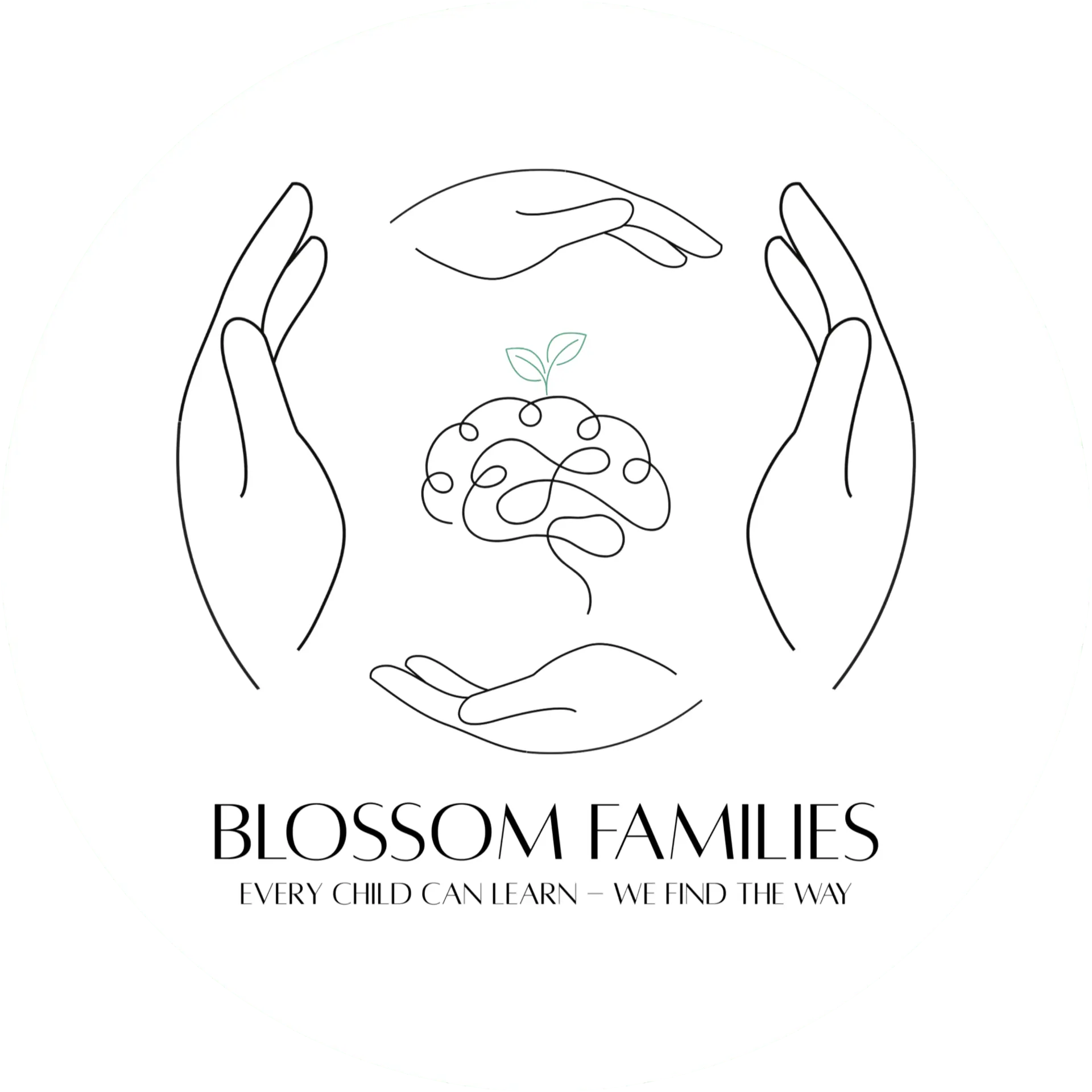 Blossom Families — Every child can learn, we find the way